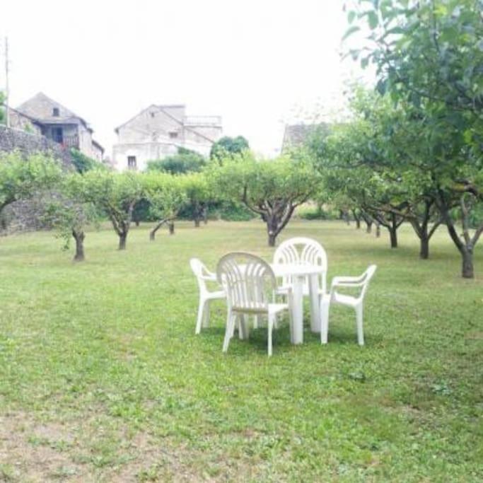 Casa Rural Barangua En El Pirineo Aragones Santa Cruz de la Serós Eksteriør bilde